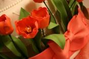 How To Make Sugar Paste Tulips?